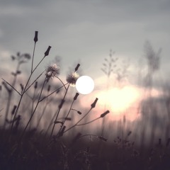 Phangrab / My Way
