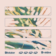 DIctator - Hide And Seek (Liam Doc Edit)