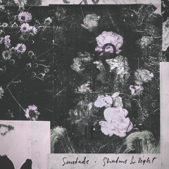 Shadows & Light (feat. Chelsea Wolfe & Chino Moreno)