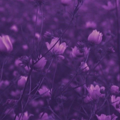 ScarFace (prod.drxppy)