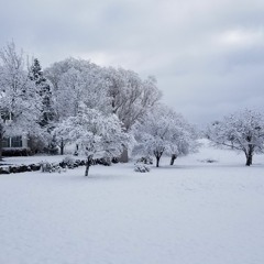 Here We Are Again, December