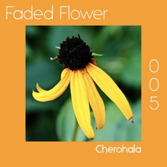 Faded Flower | 005