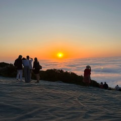 Lights Of Berlin Vol.1