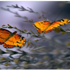 Building-A-Strong-Foundation-Steps-To-Prepare-For-A-New-Career