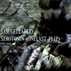 Sam Gellaitry - Serotonin (onelast flip)