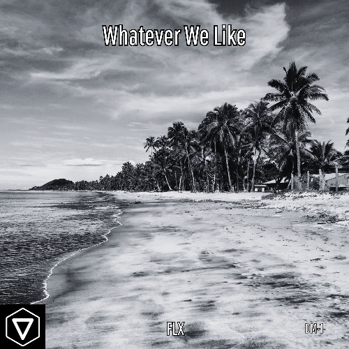 Whatever We Like - FLX (Extended)
