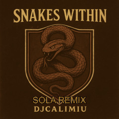 Snakes Within  (SOLA REMIX)