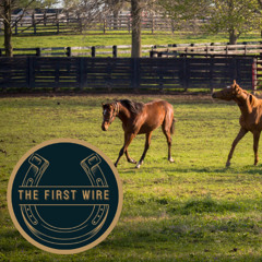 The First Wire for Breeders' Cup Weekend 2025