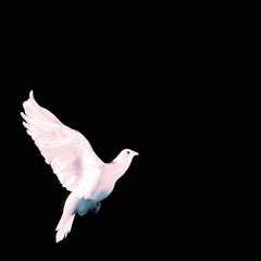 Passion - PinkPantheress Redux Slowed