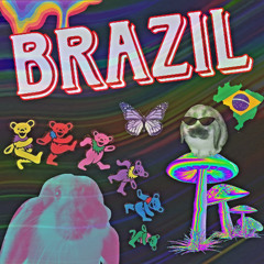 BraZIL