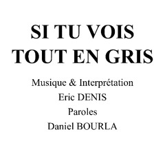 Si tu vois tout en gris