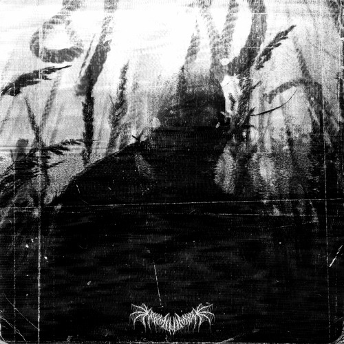 Asphyxia