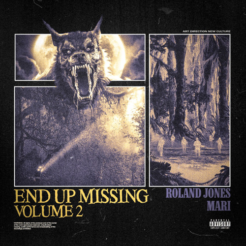 ROLAND JONES & MARI - END UP MISSING VOL.2