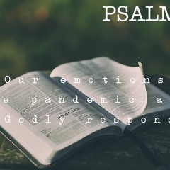 Psalms: our emotions, the pandemic and a godly response - Grief