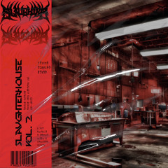 SLAVGHTERHOUSE VOL. 2