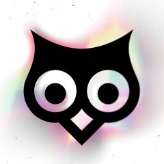 Owl Lover Collective: Favorite Picks