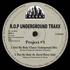 PREMIERE: R.O.P UNDERGROUND TRAXX - Feel My Body [St. David Horny Dub]