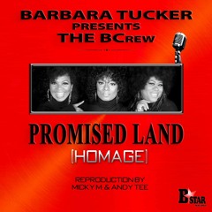 Barbara Tucker Pres. The BCrew - Promised Land (Micky More & Andy Tee Edit)