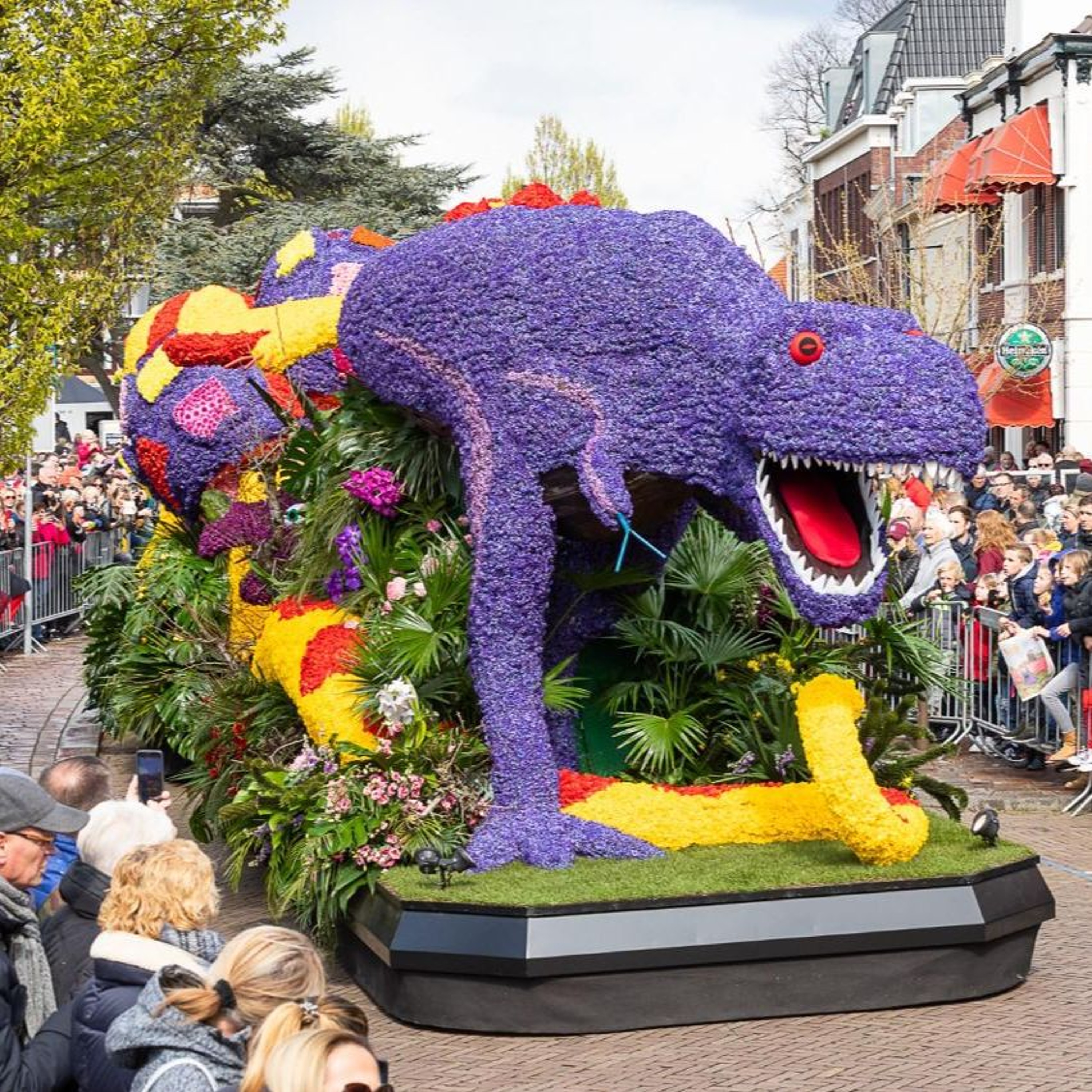 Wilma van Velzen vertelt wat we kunnen verwachten tijdens de Bloemencorso episode artwork