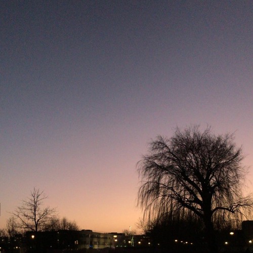 cielo