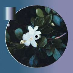 Sweet Like Jasmine (Slowed)