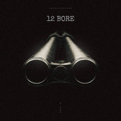 12 BORE