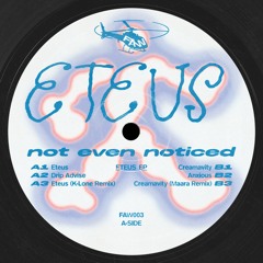 FAW003: not even noticed - Eteus EP w/ K-Lone + Maara Remixes