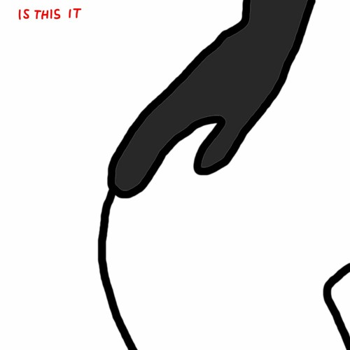 Is This It (the strokes cover)