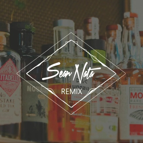 Sam Feldt - Post Malone (Sean Nata Remix)