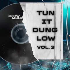 TUN IT DUNG LOW VOL.3 | 2024 DANCEHALL MIX | DEEJAY MARLO