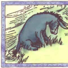 out the paddocks w/cleomace (64n phonto6k) ##aotearoa