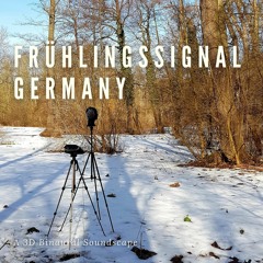 A Feint Sign Of Spring Germany: Woodpecker in Space - Binaural