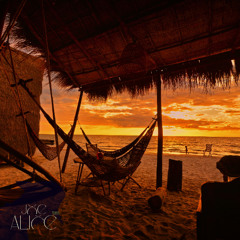 those days  joe alice music