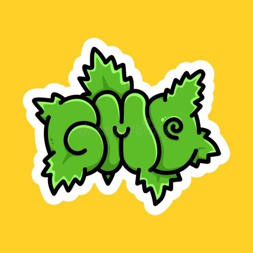 •GEL∆TØ 33 VØL 2•