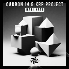 Carbon 14 & Krp project - Hati Hati (Original Mix.)
