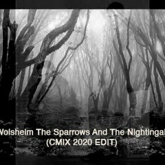 Wolfsheim The Sparrows And The Nightingales (CMIX 2020 Edit) FREE DOWNLOAD