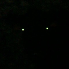 Dark eyes (SPECIAL Halloween)
