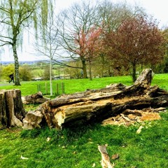 Mr Black (Past, Present and Future)