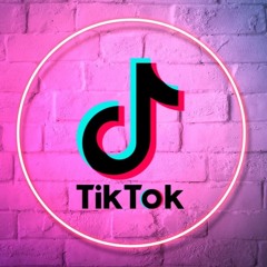 Bi*ch I’m A Mother No Drama (TikTok Song)