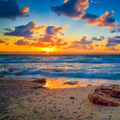 Sonic Session Vol 1029