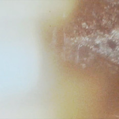 After Dark (Homestudio demo)