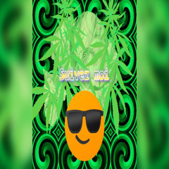 The Amazing - Qu'Est-Ce Que Vous Voulez? ( Stevectro remix 2025)