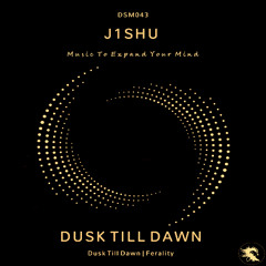 DSM043 | J1SHU - Dusk Till Dawn (Original Mix)