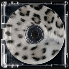 yaşanacaksa cover