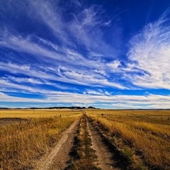 Country Vibes Vol. 2