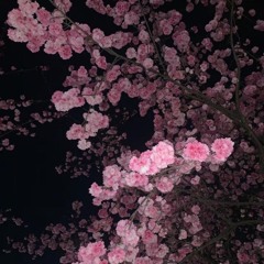 OVERLY TRIM Prod. By oneofunderworld