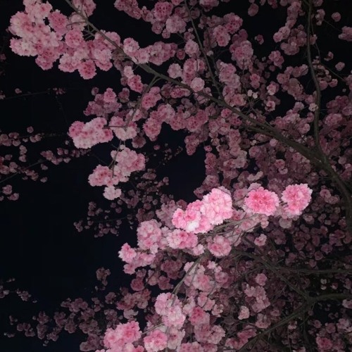OVERLY TRIM Prod. By oneofunderworld