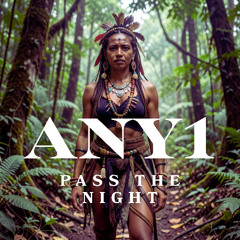 Any1 - Pass The Night (Radio Edit)