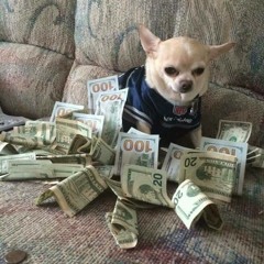 trappin prod 808eight