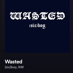 Wasted-(sic)boy,KM (6.do remix)